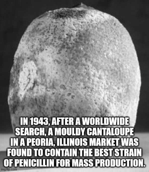 It’s Time For Some Cool And Interesting Facts – Part 180 (43 photos)