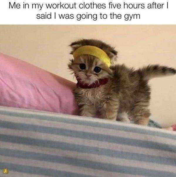 funny pics memes 38 1 56 Funny Pics, Just in Case You Haven’t Laughed Yet Today (56 photos)