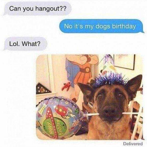 funny pics memes 41 1 56 Funny Pics, Just in Case You Haven’t Laughed Yet Today (56 photos)