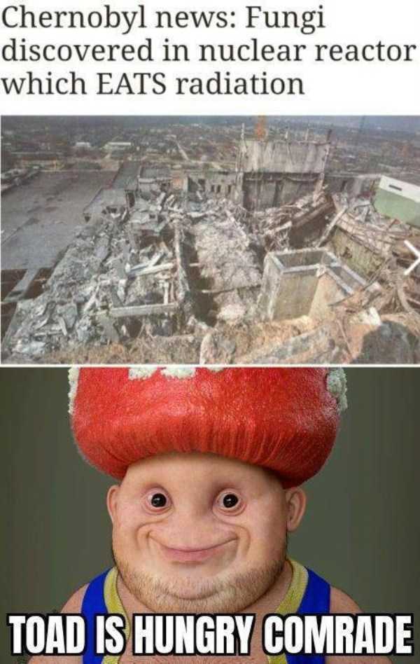 funny pics memes 48 1 56 Funny Pics, Just in Case You Haven’t Laughed Yet Today (56 photos)