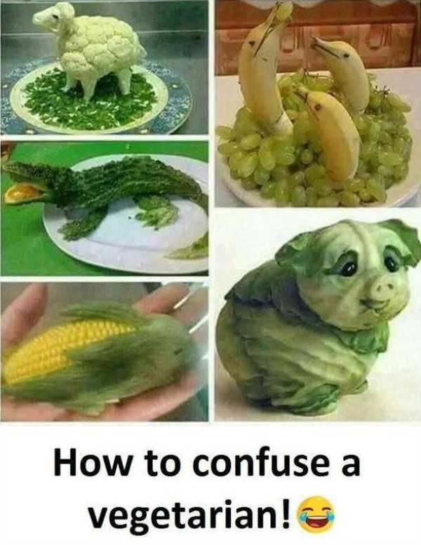 55 Funny Pics, Just in Case You Haven’t Laughed Yet Today (55 photos)