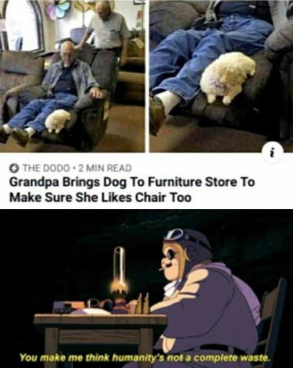 funny pics memes 53 1 56 Funny Pics, Just in Case You Haven’t Laughed Yet Today (56 photos)