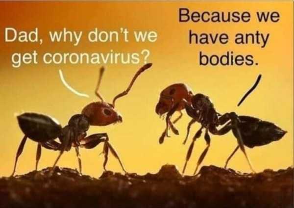 funny pics memes 6 1 56 Funny Pics, Just in Case You Haven’t Laughed Yet Today (56 photos)