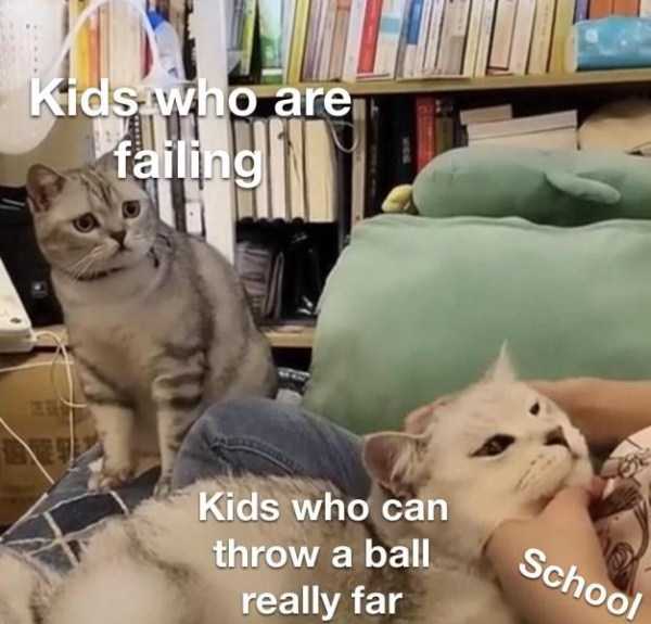 55 Funny Pics, Just in Case You Haven’t Laughed Yet Today (55 photos)