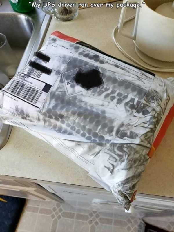 42 Random Pictures With Captions (42 photos)