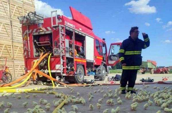Klyker Picdump (66 photos)