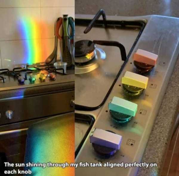 perfect images 1 40 More Pictures For Perfectionists (40 photos)