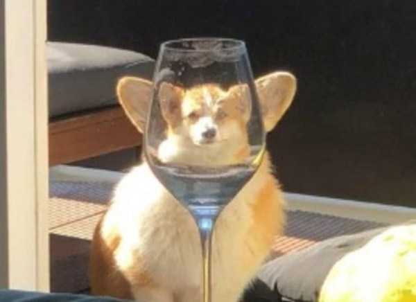 perfect images 13 40 More Pictures For Perfectionists (40 photos)