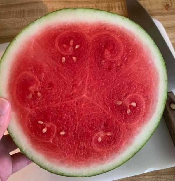 perfect images 15 40 More Pictures For Perfectionists (40 photos)