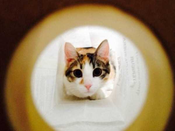 perfect images 19 40 More Pictures For Perfectionists (40 photos)