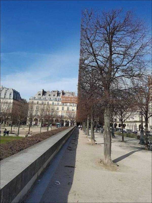 perfect images 3 40 More Pictures For Perfectionists (40 photos)