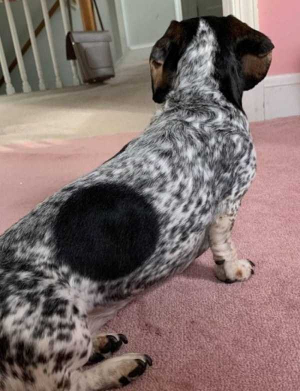 perfect images 30 40 More Pictures For Perfectionists (40 photos)