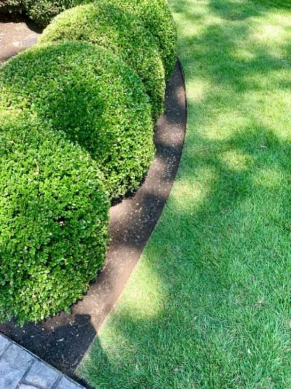 perfect images 33 40 More Pictures For Perfectionists (40 photos)