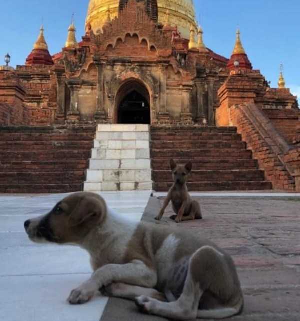 perfect images 35 40 More Pictures For Perfectionists (40 photos)