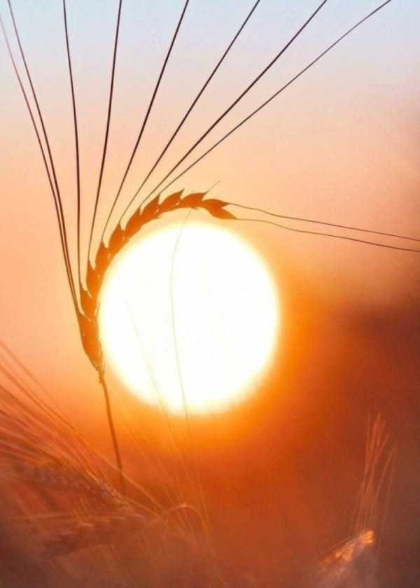 perfect images 38 40 More Pictures For Perfectionists (40 photos)