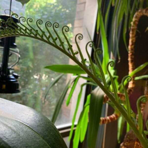 perfect images 8 40 More Pictures For Perfectionists (40 photos)