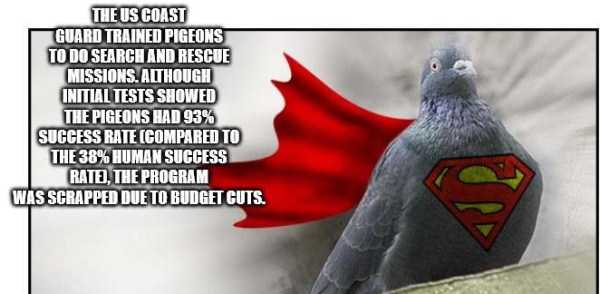 random fun trivia 32 It’s Time For Some Cool And Interesting Facts – Part 182 (37 photos)