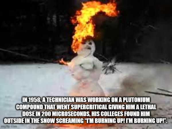 random fun trivia 5 It’s Time For Some Cool And Interesting Facts – Part 182 (37 photos)