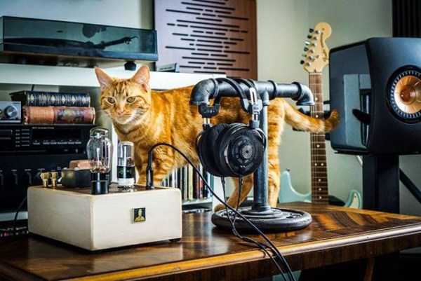 44 Nothing But Awesome Pics (44 photos)