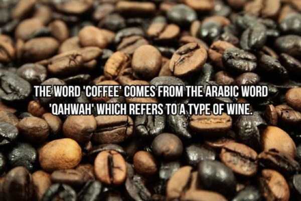 20 Cool Facts About Coffee (20 photos)
