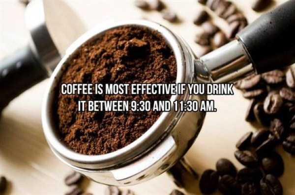 20 Cool Facts About Coffee (20 photos)