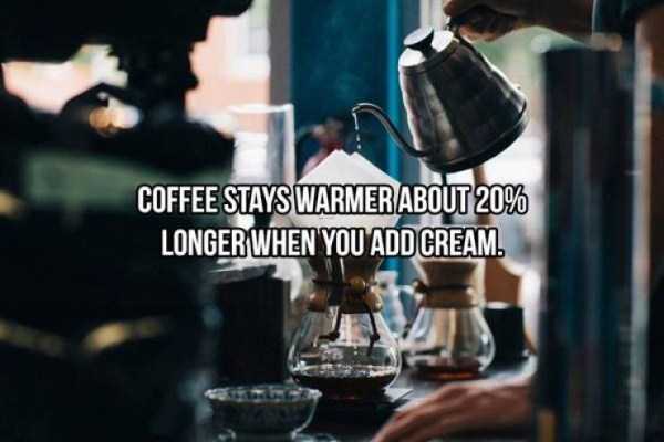 20 Cool Facts About Coffee (20 photos)