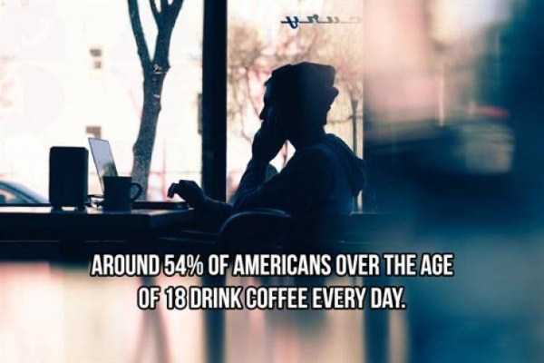 20 Cool Facts About Coffee (20 photos)