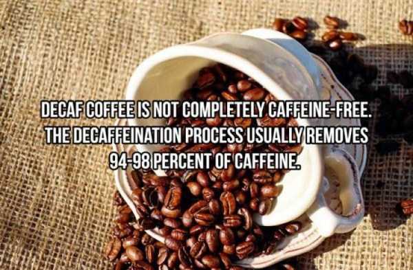 20 Cool Facts About Coffee (20 photos)