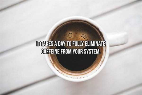 20 Cool Facts About Coffee (20 photos)