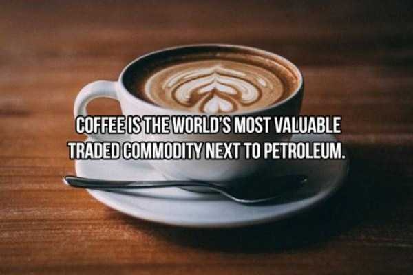 20 Cool Facts About Coffee (20 photos)