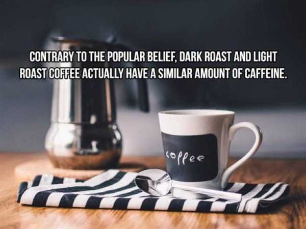 20 Cool Facts About Coffee (20 photos)
