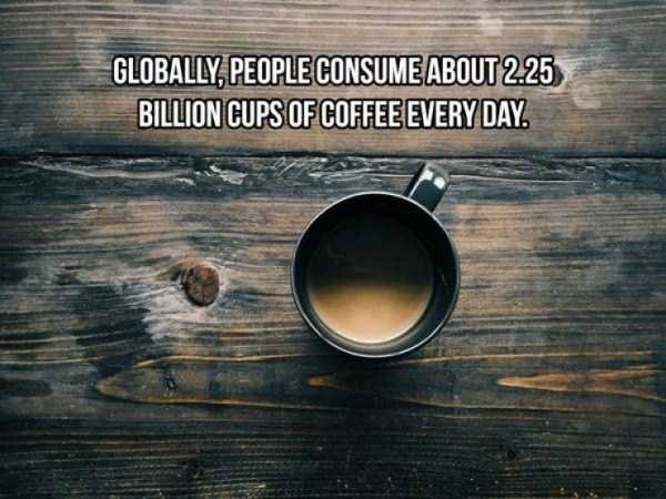 20 Cool Facts About Coffee (20 photos)