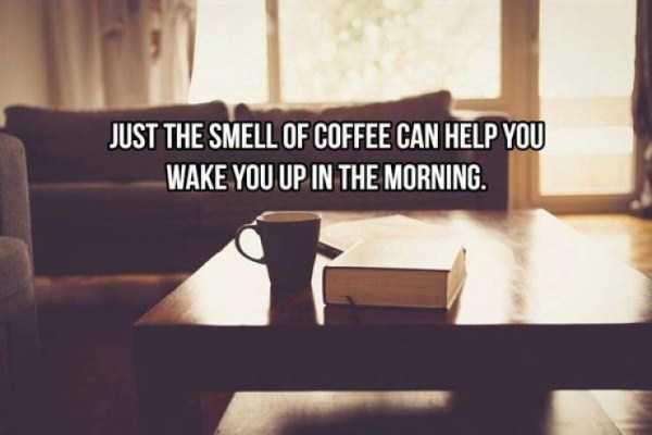 20 Cool Facts About Coffee (20 photos)