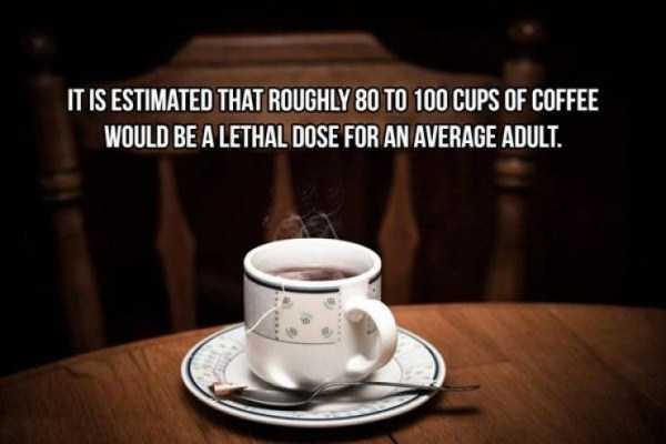 20 Cool Facts About Coffee (20 photos)