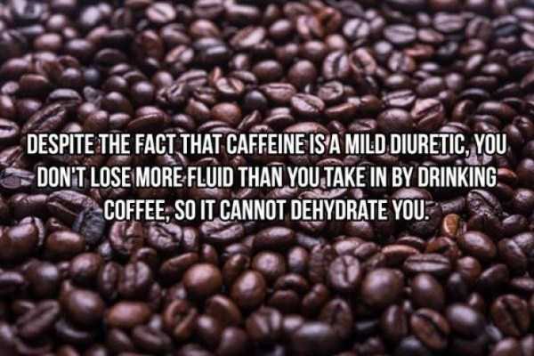 20 Cool Facts About Coffee (20 photos)