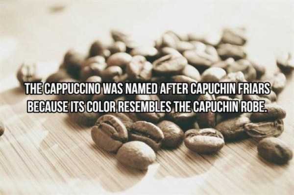 20 Cool Facts About Coffee (20 photos)