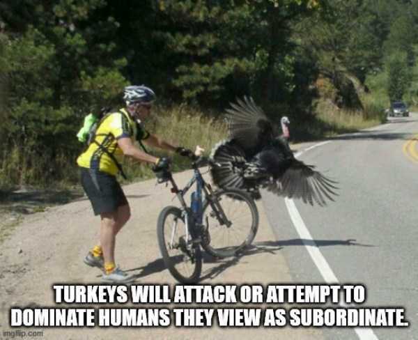 It’s Time For Some Cool And Interesting Facts – Part 186 (39 photos)