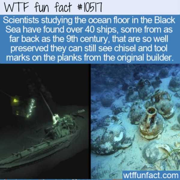 It’s Time For Some Cool And Interesting Facts – Part 186 (39 photos)
