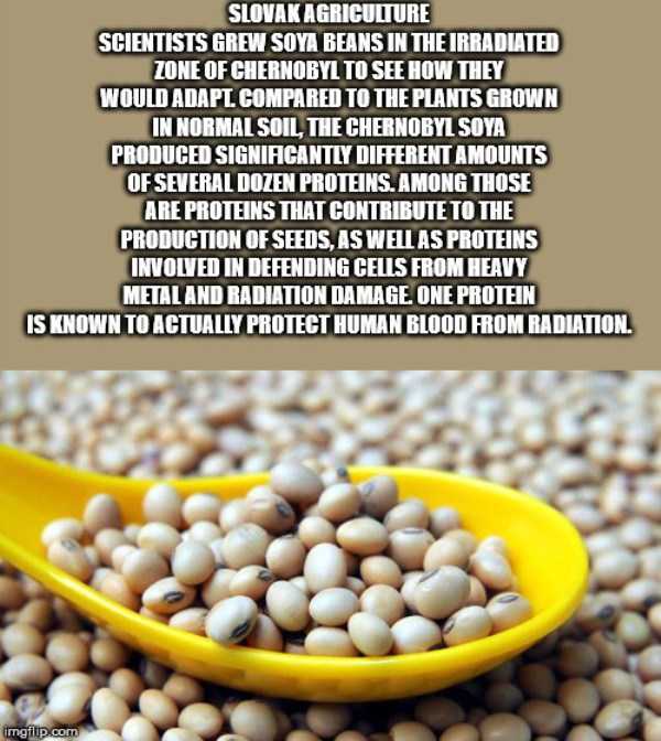 It’s Time For Some Cool And Interesting Facts – Part 186 (39 photos)