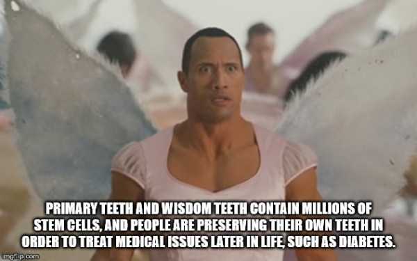 It’s Time For Some Cool And Interesting Facts – Part 186 (39 photos)