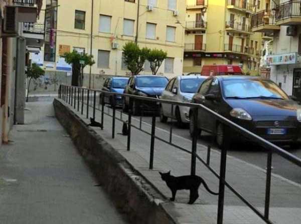 35 Funny Coincidences (35 photos)