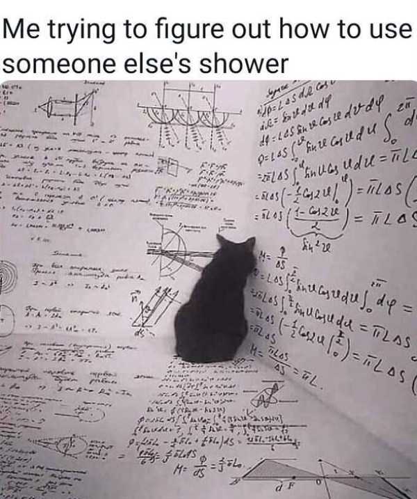 funny pics memes 37 1 55 Funny Pics, Just in Case You Haven’t Laughed Yet Today (55 photos)