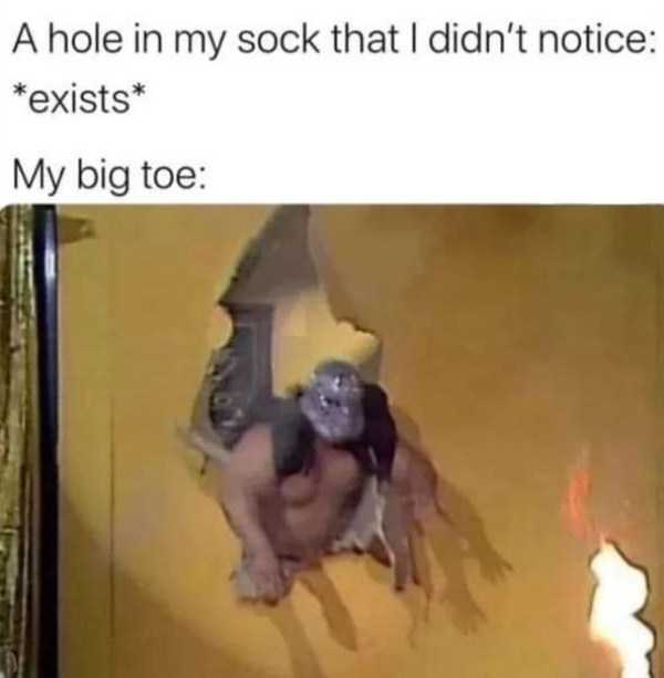 funny pics memes 42 1 55 Funny Pics, Just in Case You Haven’t Laughed Yet Today (55 photos)