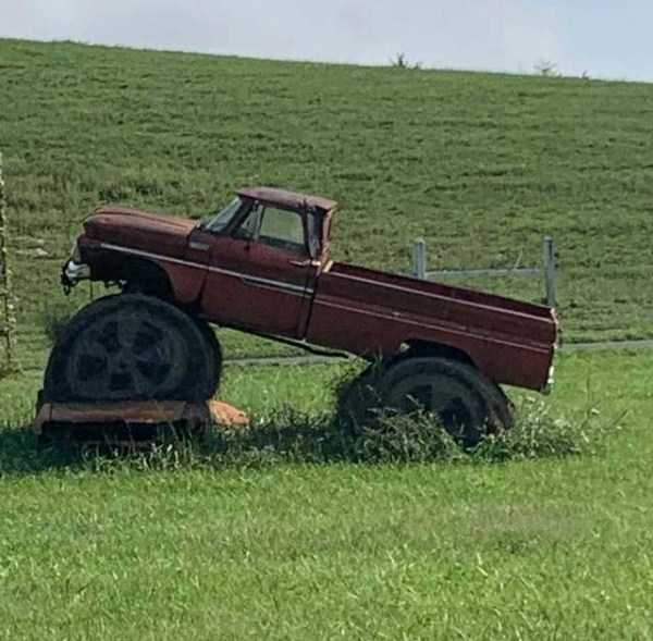 funny pics memes 43 1 55 Funny Pics, Just in Case You Haven’t Laughed Yet Today (55 photos)