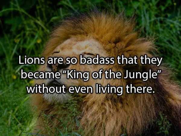 36 More Deep Shower Thoughts (36 photos)