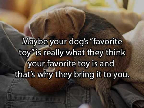 36 More Deep Shower Thoughts (36 photos)