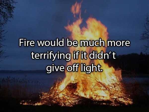 36 More Deep Shower Thoughts (36 photos)