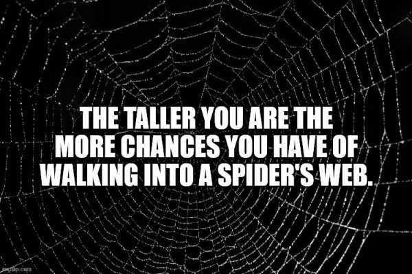 36 More Deep Shower Thoughts (36 photos)