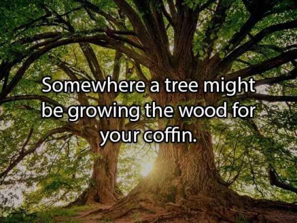 36 More Deep Shower Thoughts (36 photos)