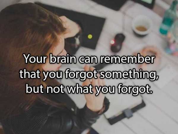 36 More Deep Shower Thoughts (36 photos)